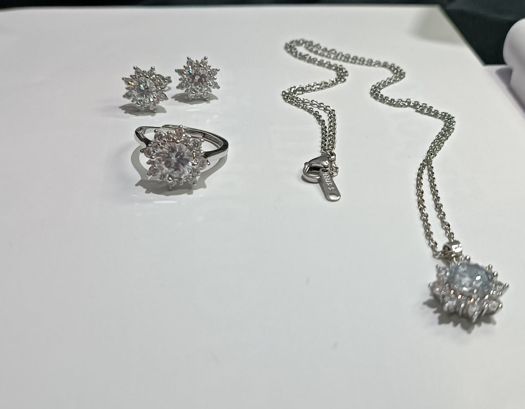 S316 ÇELİK ZİRKON TAŞLI SET