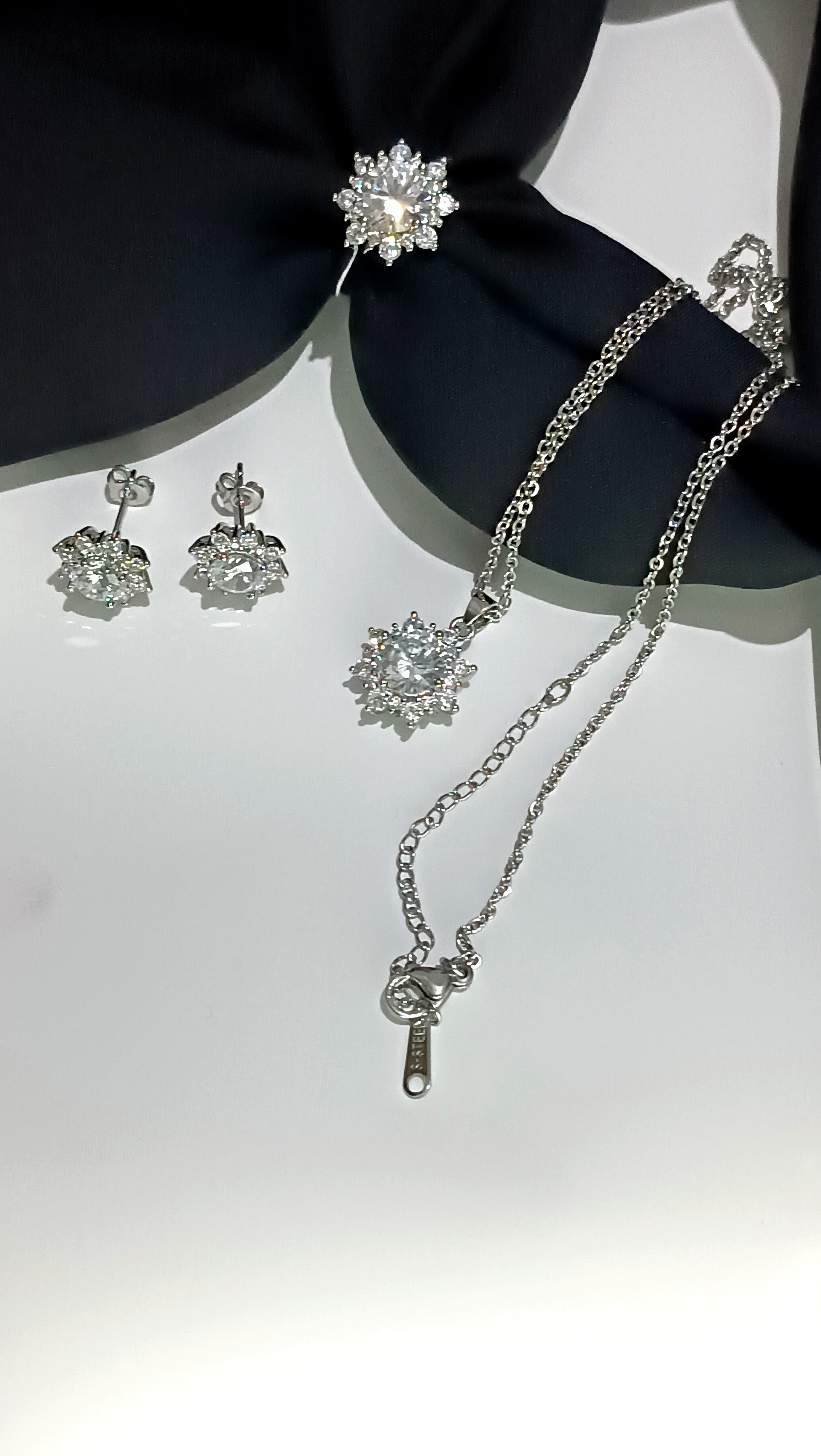 S316 ÇELİK ZİRKON TAŞLI SET